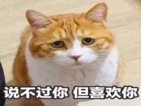 苏州恩路贸易有限公司