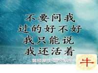 苏州恩路贸易有限公司