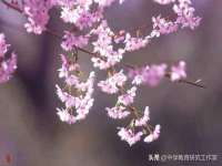 苏州恩路贸易有限公司