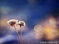 苏州恩路贸易有限公司