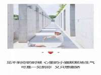 苏州恩路贸易有限公司