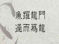 苏州恩路贸易有限公司