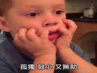 苏州恩路贸易有限公司