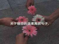 苏州恩路贸易有限公司