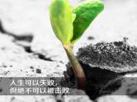 苏州恩路贸易有限公司