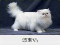 苏州恩路贸易有限公司