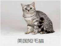 苏州恩路贸易有限公司