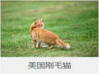 苏州恩路贸易有限公司