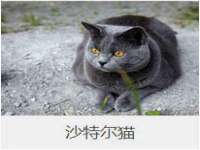 苏州恩路贸易有限公司