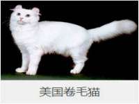 苏州恩路贸易有限公司