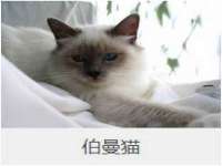 苏州恩路贸易有限公司