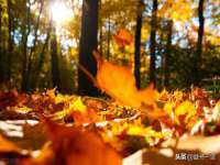 苏州恩路贸易有限公司