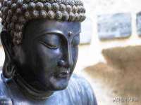 苏州恩路贸易有限公司