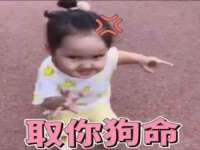 苏州恩路贸易有限公司