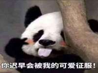 苏州恩路贸易有限公司