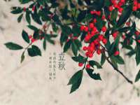 苏州恩路贸易有限公司