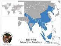 苏州恩路贸易有限公司