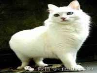 苏州恩路贸易有限公司