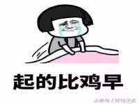 苏州恩路贸易有限公司