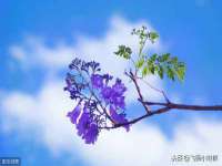 苏州恩路贸易有限公司