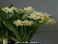 苏州恩路贸易有限公司