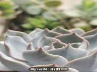 苏州恩路贸易有限公司