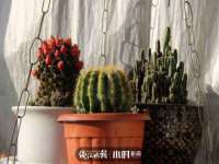 苏州恩路贸易有限公司