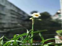 苏州恩路贸易有限公司