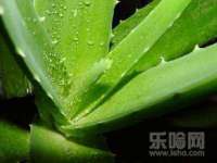 苏州恩路贸易有限公司