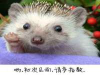 苏州恩路贸易有限公司
