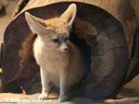 苏州恩路贸易有限公司