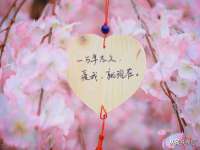 苏州恩路贸易有限公司