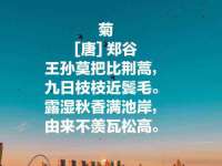 苏州恩路贸易有限公司