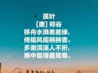 苏州恩路贸易有限公司