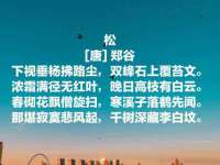 苏州恩路贸易有限公司