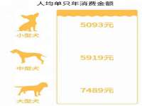 苏州恩路贸易有限公司