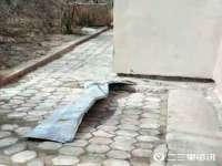 苏州恩路贸易有限公司