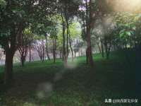 苏州恩路贸易有限公司