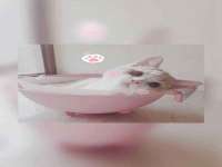 苏州恩路贸易有限公司