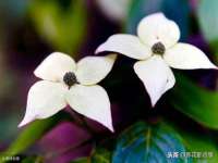 苏州恩路贸易有限公司