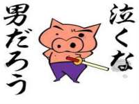 苏州恩路贸易有限公司