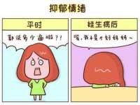 苏州恩路贸易有限公司