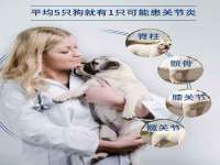 苏州恩路贸易有限公司