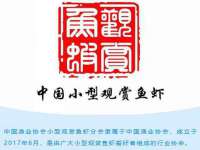 苏州恩路贸易有限公司