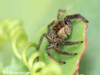 苏州恩路贸易有限公司