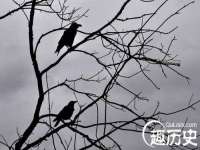 苏州恩路贸易有限公司