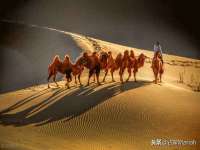 苏州恩路贸易有限公司