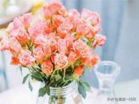 苏州恩路贸易有限公司