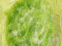 苏州恩路贸易有限公司