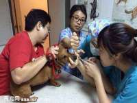 苏州恩路贸易有限公司